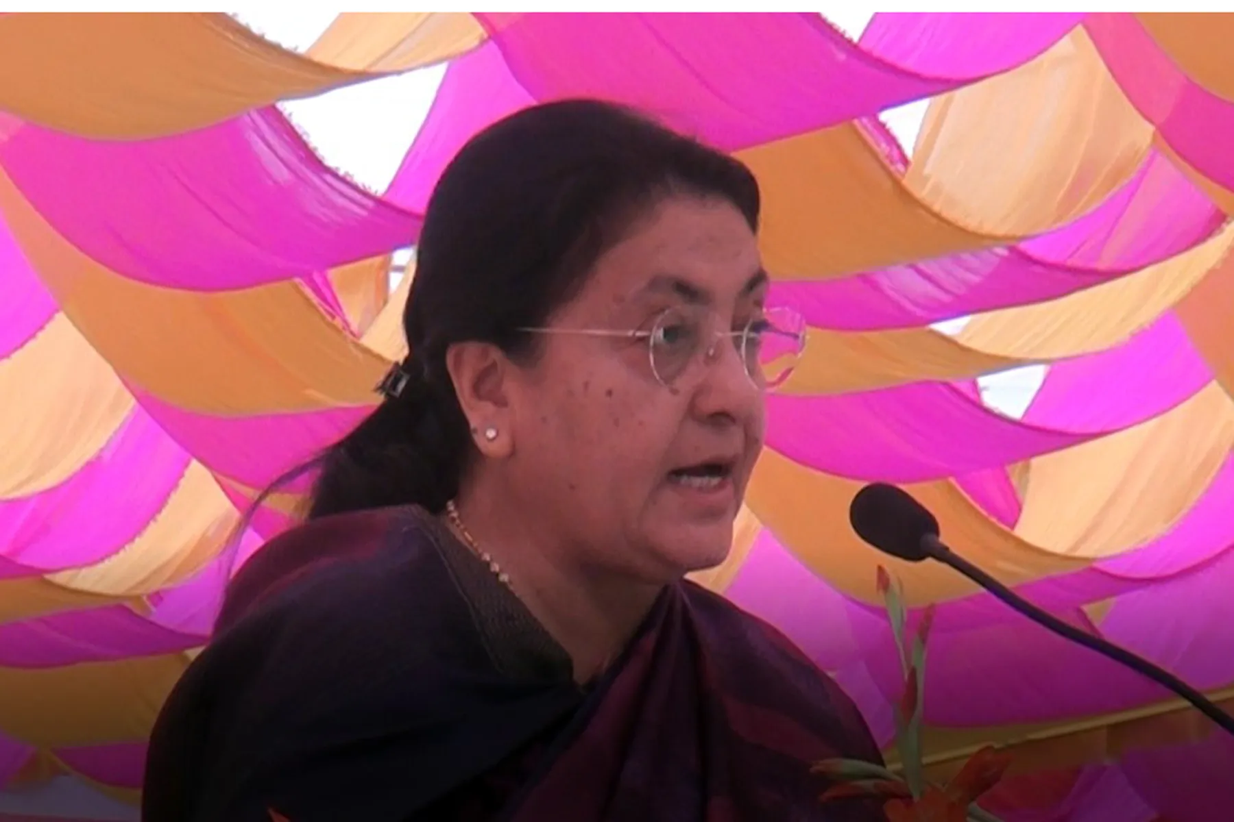 आज विशेष पत्रकार सम्मेलन गर्दै पूर्वराष्ट्रपति विद्यादेवी भण्डारी