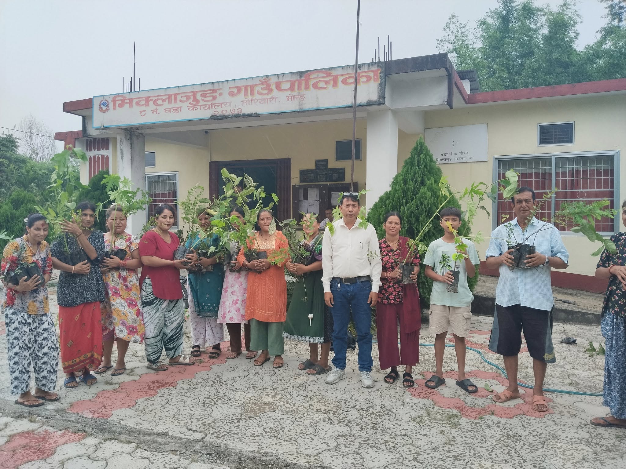 मिक्लाजुङ–८ मा ३ सय ५ वटा फलफुलका बिरुवाहरु वितरण