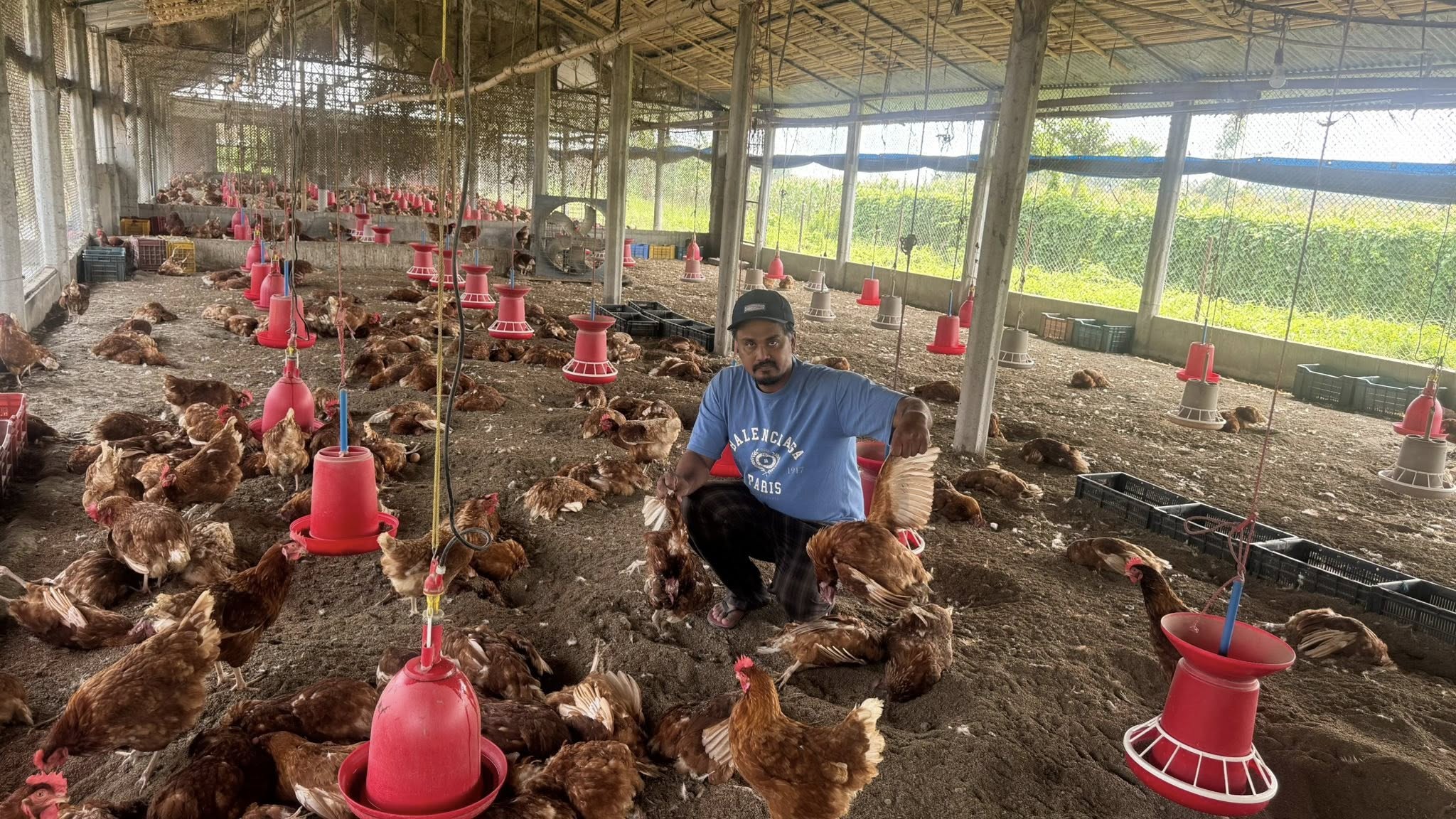 उर्लाबारीमा बर्ड फ्लु पुष्टि भएसँगै उच्च सतर्कता अपनाउन निर्देशन