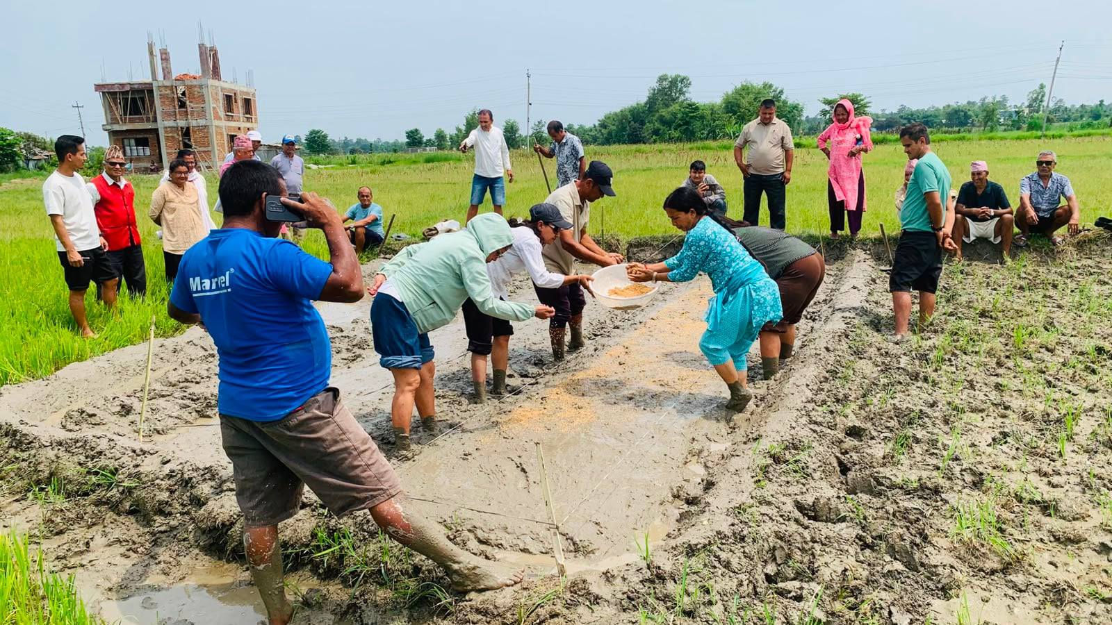 उर्लाबारीमा उन्नत धान खेती प्रविधि तालिम सम्पन्न