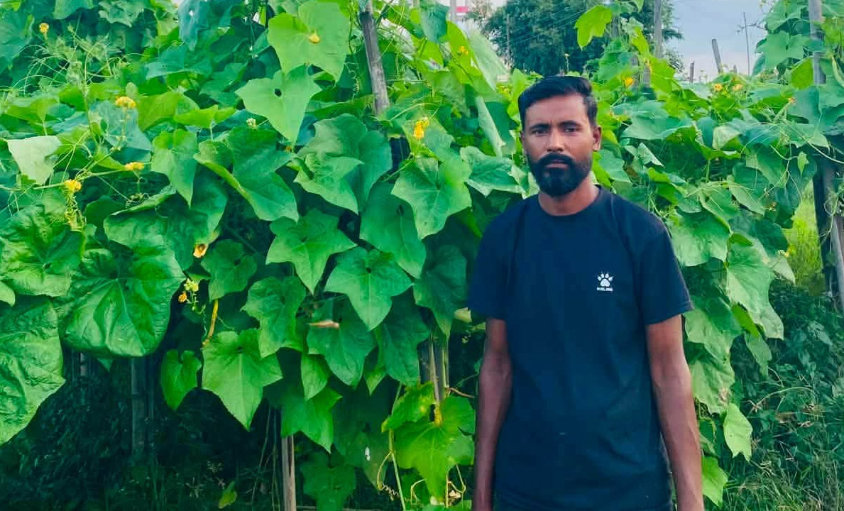 व्यावसायिक र आधुनिक कृषिमा मेहता पशुपालन तथा कृषि फार्मको अग्रसरता